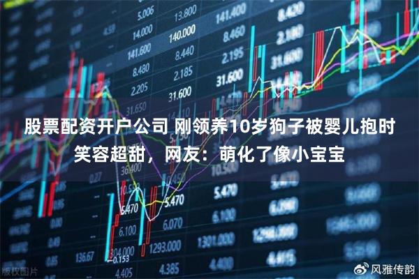 股票配资开户公司 刚领养10岁狗子被婴儿抱时笑容超甜，网友：萌化了像小宝宝