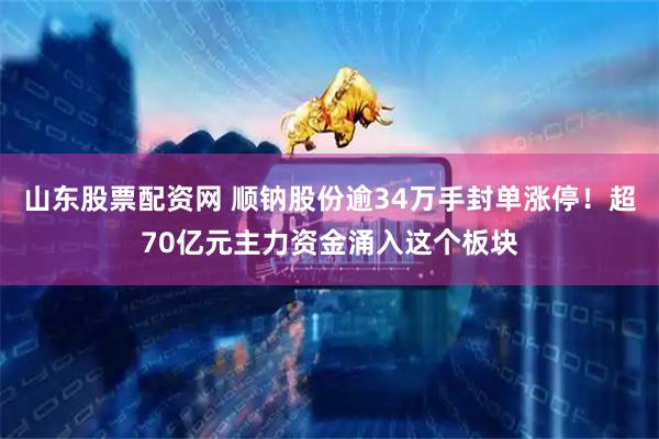 山东股票配资网 顺钠股份逾34万手封单涨停！超70亿元主力资金涌入这个板块