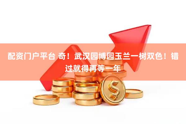 配资门户平台 奇！武汉园博园玉兰一树双色！错过就得再等一年